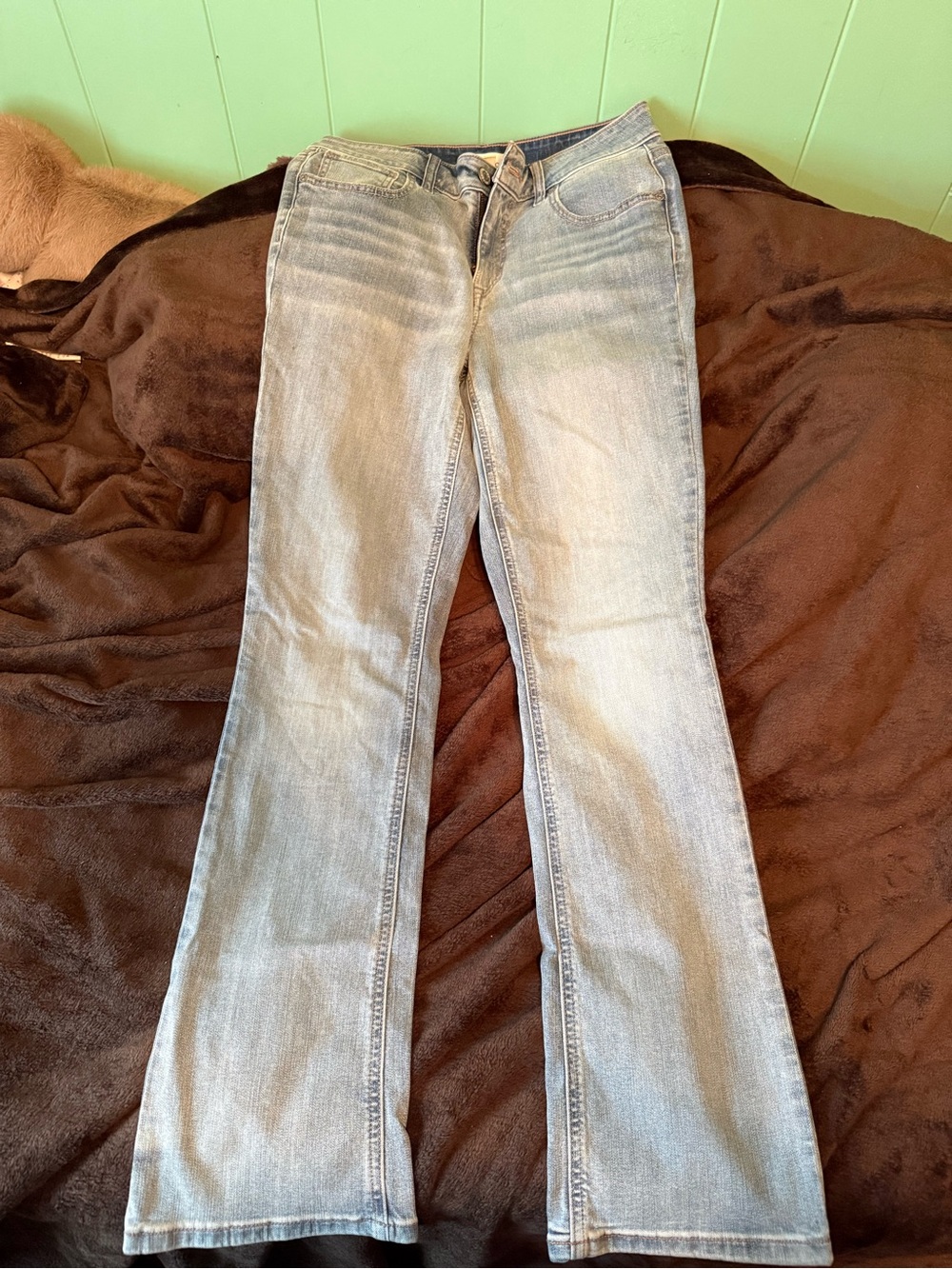 Maurices Light Blue Flare Jeans